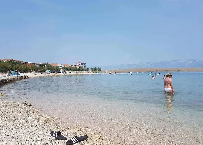 Summer Vibe